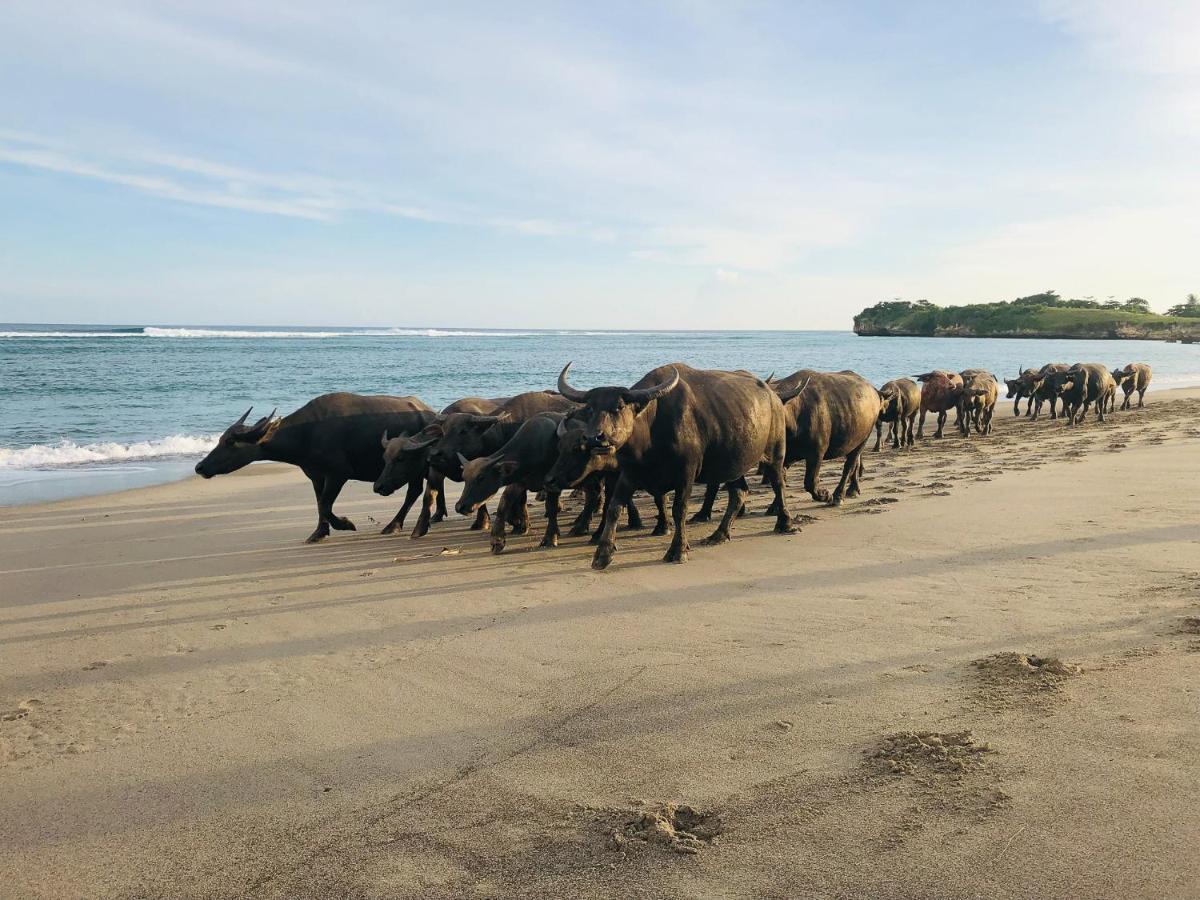 Sumba Beach House Waikabubak Kültér fotó